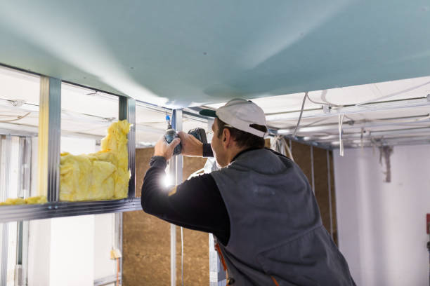 Best Geographic-Specific Insulation Services in Rogersville, TN