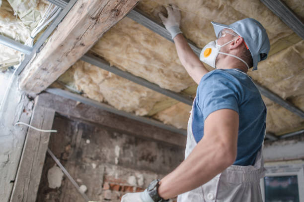 Best Spray Foam Insulation in Rogersville, TN