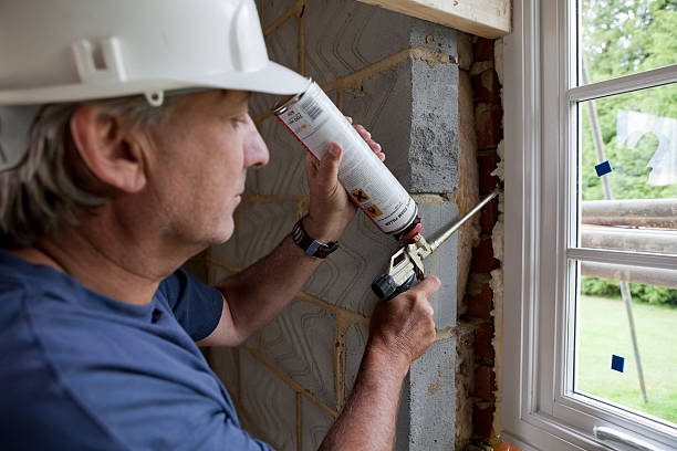Best Insulation Maintenance and Repair in Rogersville, TN