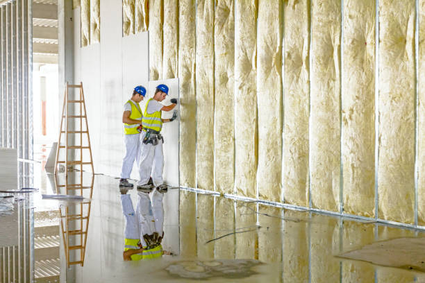 Professional Insulation Contractor in Rogersville, TN